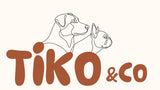 Sorinaa